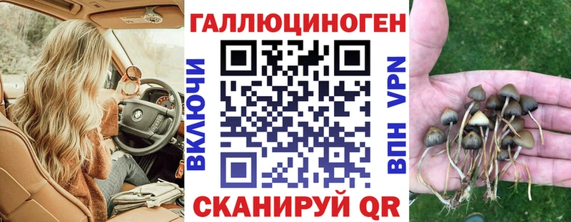 Галлюциногенные грибы MAGIC MUSHROOMS  как найти наркотики  Нефтекамск 