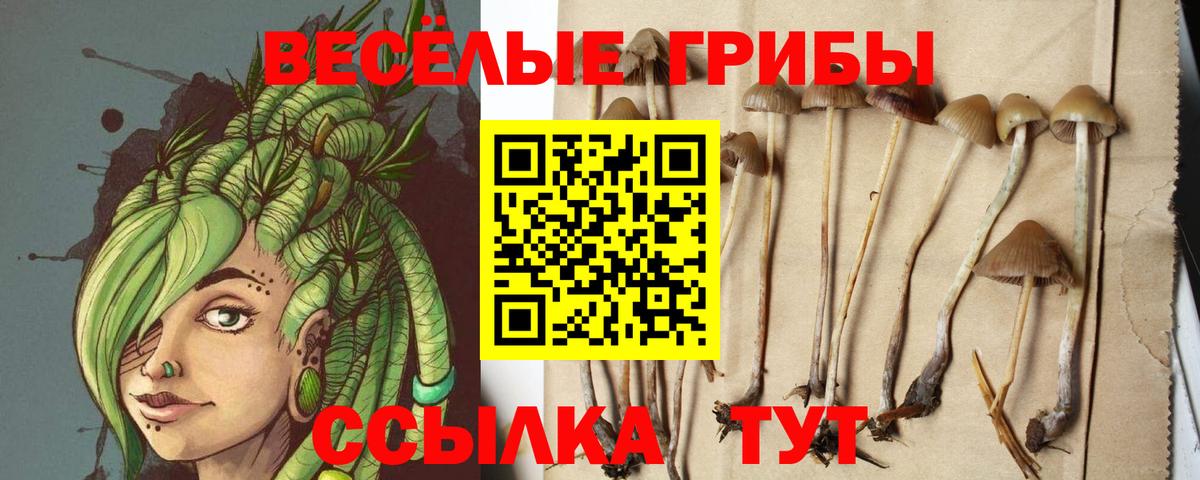 Псилоцибиновые грибы Cubensis Нефтекамск