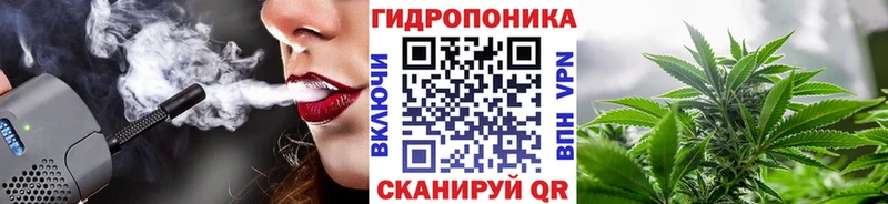 Бошки Шишки планчик  Нефтекамск 